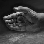 Velv'Or Rooster Jason - BLACK